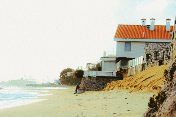 Exploring the Magic of Historic English Gardens: A Comprehensive Guide to Unforgettable Guided Tours